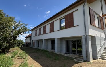 IMG_3781